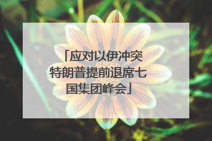 应对以伊冲突 特朗普提前退席七国集团峰会